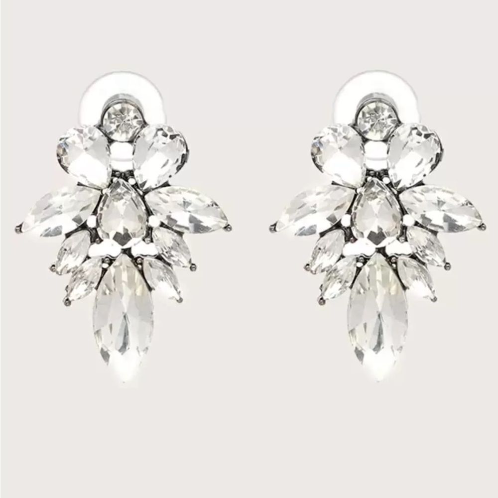 Elegant Silver Crystal Earrings N1073